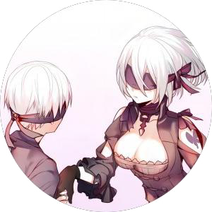异界型2B&9S